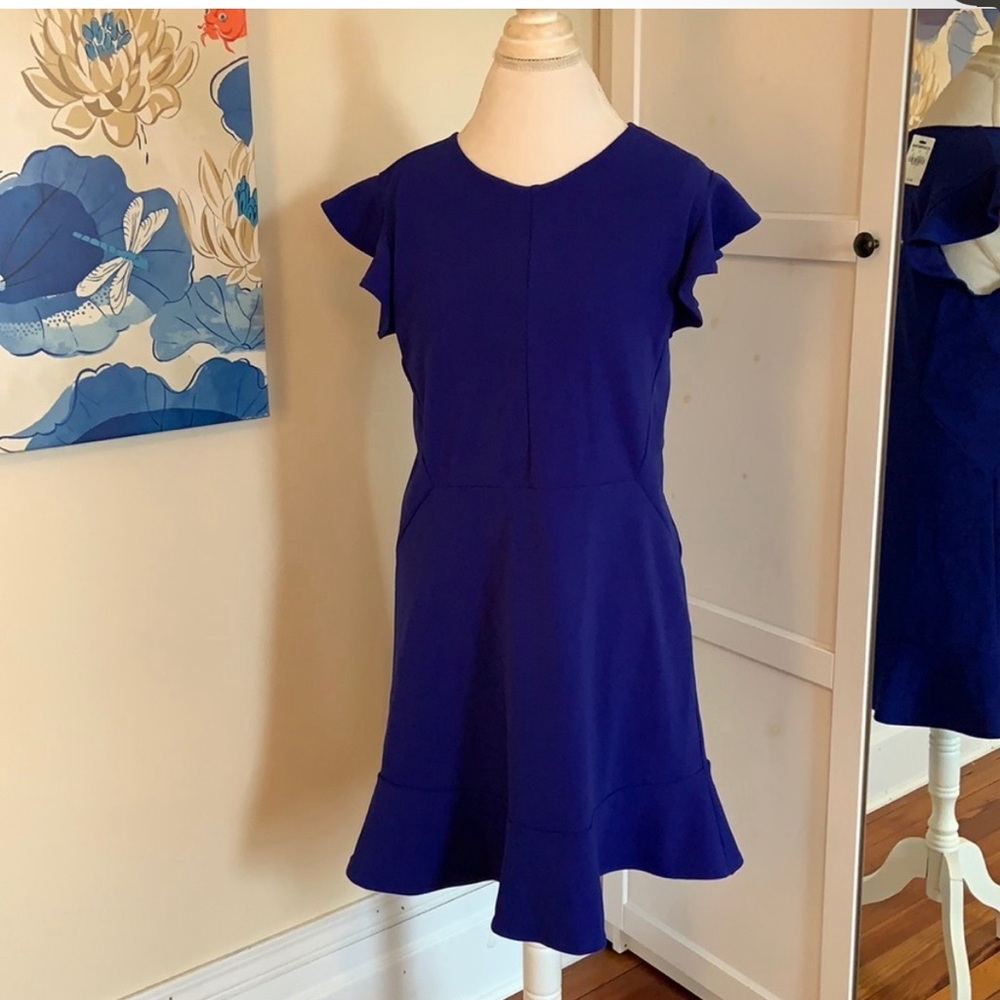 NWT Express Blue Flutter Sleeve & Ruffle Hem Dress - Sz Large